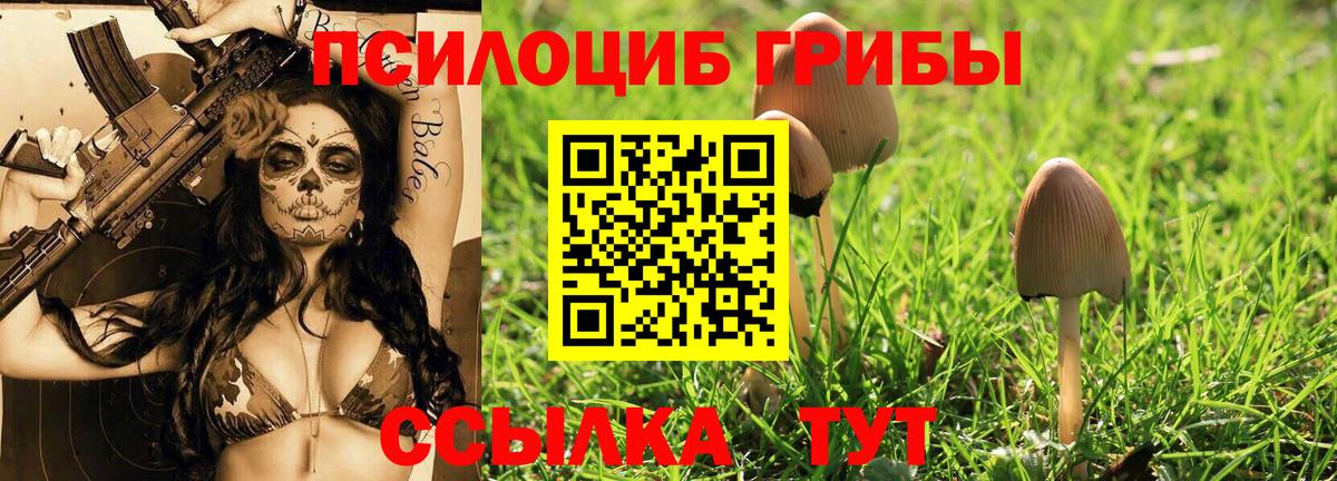 Псилоцибиновые грибы MAGIC MUSHROOMS Пыть-Ях